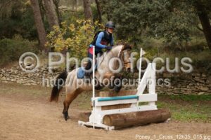 Poney_1_Cross_12h35_015.jpg