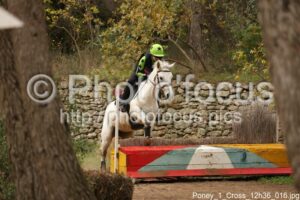 Poney_1_Cross_12h36_016.jpg
