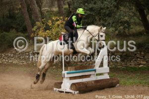 Poney_1_Cross_12h36_017.jpg