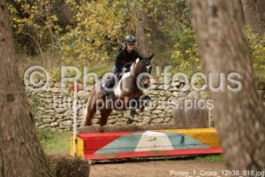 Poney_1_Cross_12h38_018.jpg