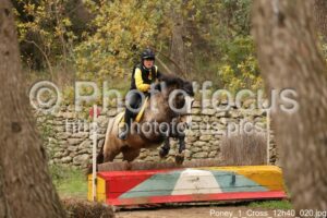 Poney_1_Cross_12h40_020.jpg