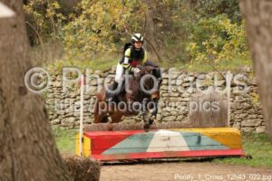 Poney_1_Cross_12h43_022.jpg