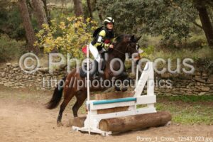 Poney_1_Cross_12h43_023.jpg