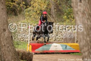 Poney_1_Cross_12h48_026.jpg