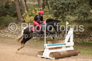 Poney_1_Cross_12h48_027.jpg