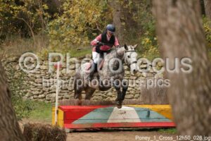 Poney_1_Cross_12h50_028.jpg