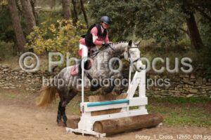 Poney_1_Cross_12h50_029.jpg