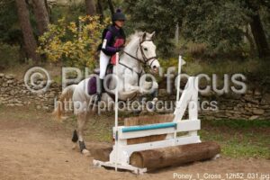 Poney_1_Cross_12h52_031.jpg