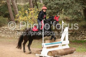 Poney_1_Cross_12h53_033.jpg