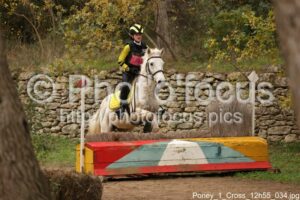 Poney_1_Cross_12h55_034.jpg