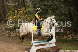 Poney_1_Cross_12h55_035.jpg