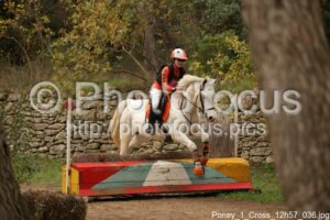 Poney_1_Cross_12h57_036.jpg