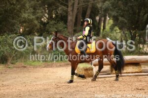 Poney_1_Cross_13h00_039.jpg