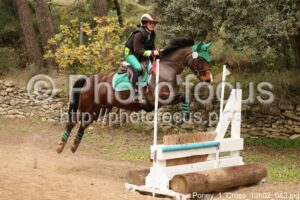 Poney_1_Cross_13h02_043.jpg