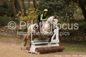 Poney_1_Cross_13h05_045.jpg