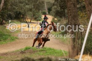 Poney_1_Cross_13h06_046.jpg