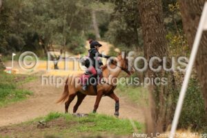 Poney_1_Cross_13h06_047.jpg