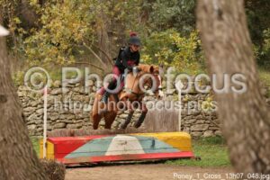 Poney_1_Cross_13h07_048.jpg