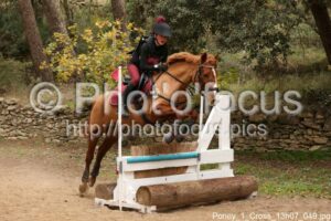 Poney_1_Cross_13h07_049.jpg