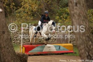 Poney_1_Cross_13h08_050.jpg