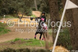 Poney_1_Cross_13h11_052.jpg