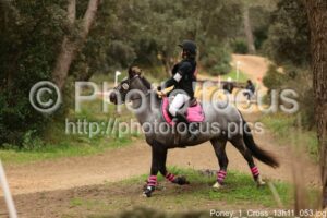 Poney_1_Cross_13h11_053.jpg