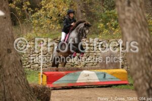 Poney_1_Cross_13h11_054.jpg