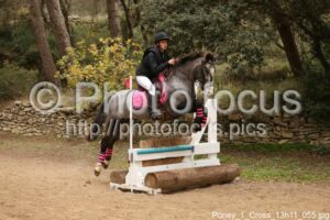 Poney_1_Cross_13h11_055.jpg