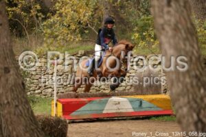 Poney_1_Cross_13h15_058.jpg