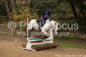 Poney_1_Cross_13h17_061.jpg