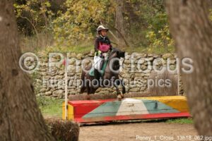 Poney_1_Cross_13h18_062.jpg