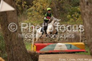 Poney_1_Cross_13h20_064.jpg