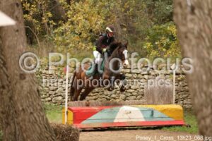 Poney_1_Cross_13h23_068.jpg