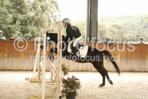 Poney_2_CSO_11h17_004.jpg