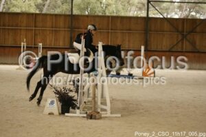 Poney_2_CSO_11h17_005.jpg