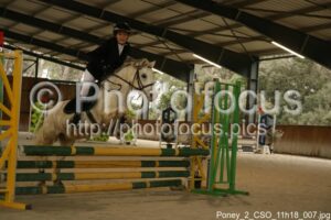 Poney_2_CSO_11h18_007.jpg