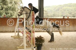 Poney_2_CSO_11h21_016.jpg