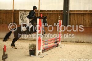 Poney_2_CSO_11h23_022.jpg