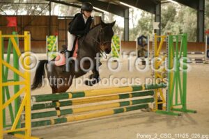 Poney_2_CSO_11h25_026.jpg