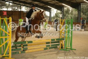 Poney_2_CSO_11h29_037.jpg