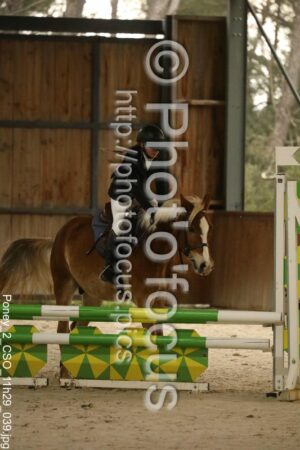 Poney_2_CSO_11h29_039.jpg