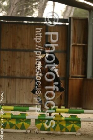 Poney_2_CSO_11h29_040.jpg