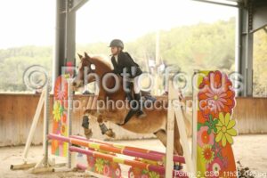 Poney_2_CSO_11h30_042.jpg