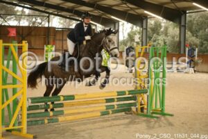 Poney_2_CSO_11h31_044.jpg