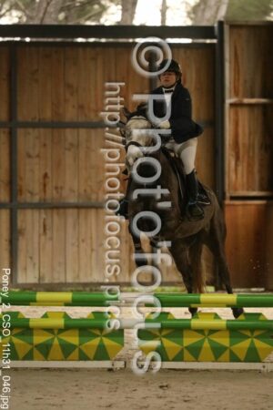 Poney_2_CSO_11h31_046.jpg