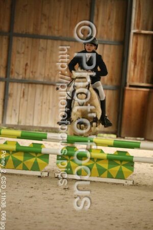 Poney_2_CSO_11h36_066.jpg