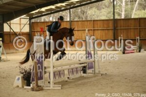Poney_2_CSO_11h38_075.jpg