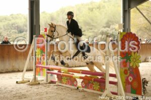 Poney_2_CSO_11h40_079.jpg