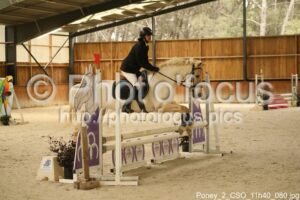 Poney_2_CSO_11h40_080.jpg
