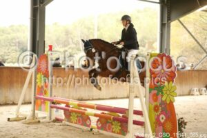 Poney_2_CSO_11h41_085.jpg